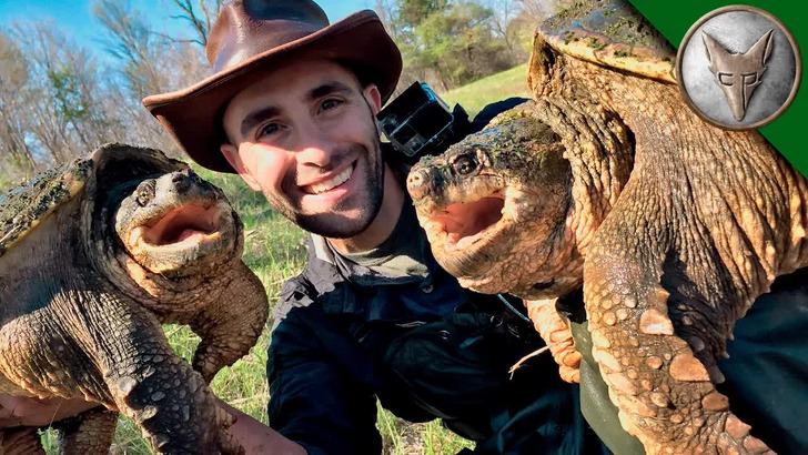 A remarkable moment between two turtles