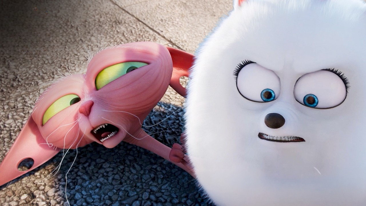Gidget becomes a crime boss to find Max – The Secret Life of Pets