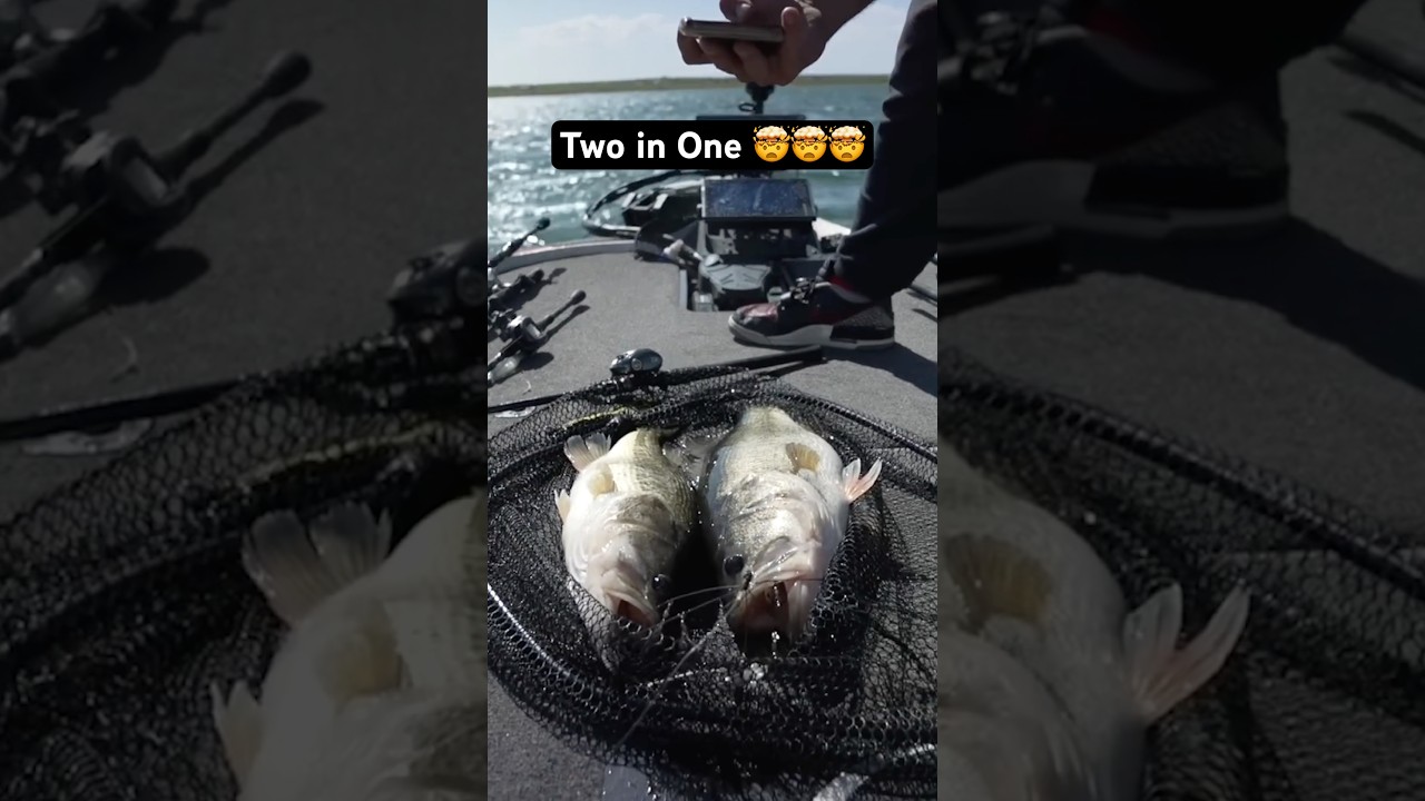 Catching two big fish at the exact same time