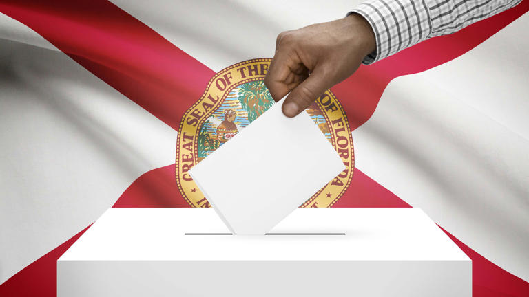 Florida 2026 election: How to find your sample ballot