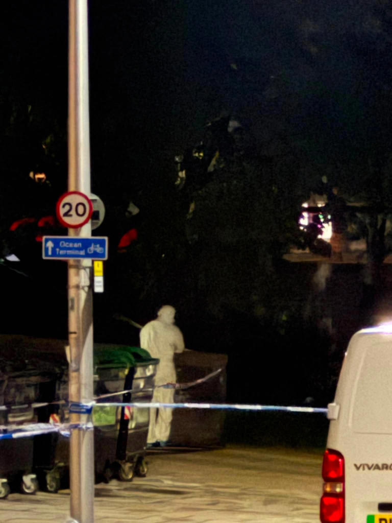 One dead and man arrested after armed police called to Leith flats