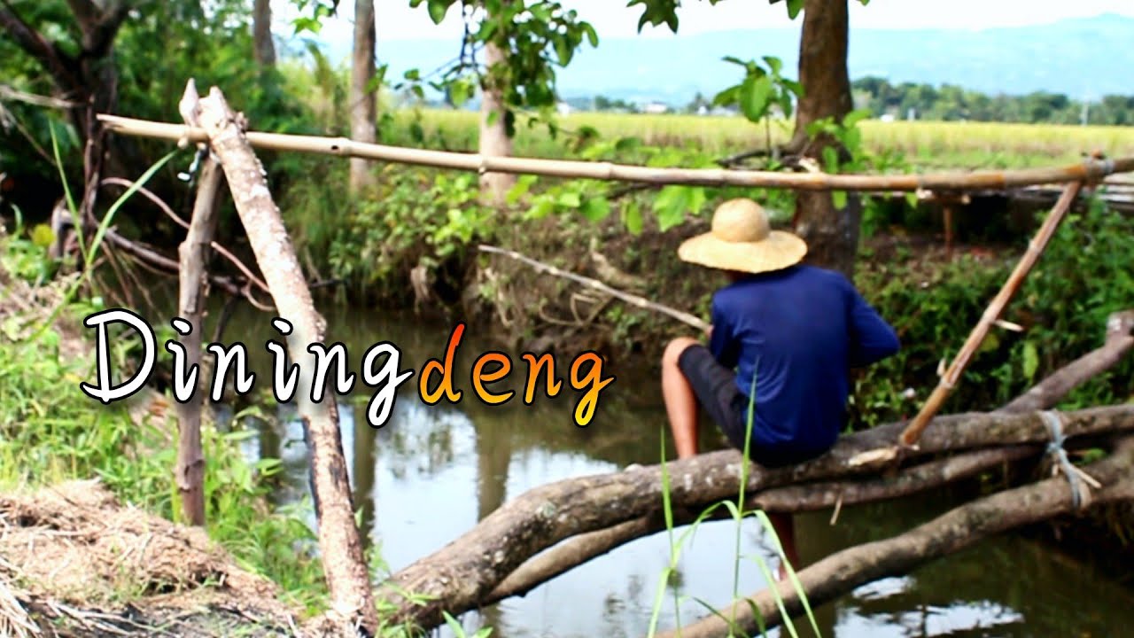 Catch and cook catfish dinengdeng the traditional Ilocano way