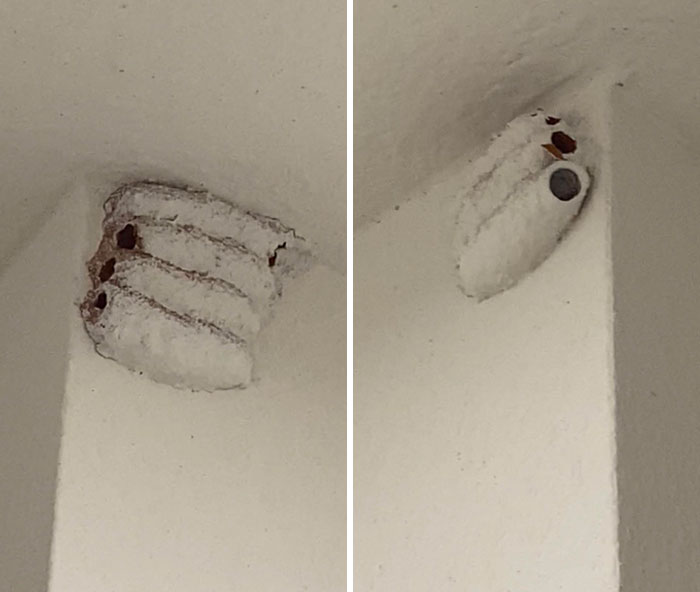 32 Times Landlords Left Their Tenants in Awful Conditions