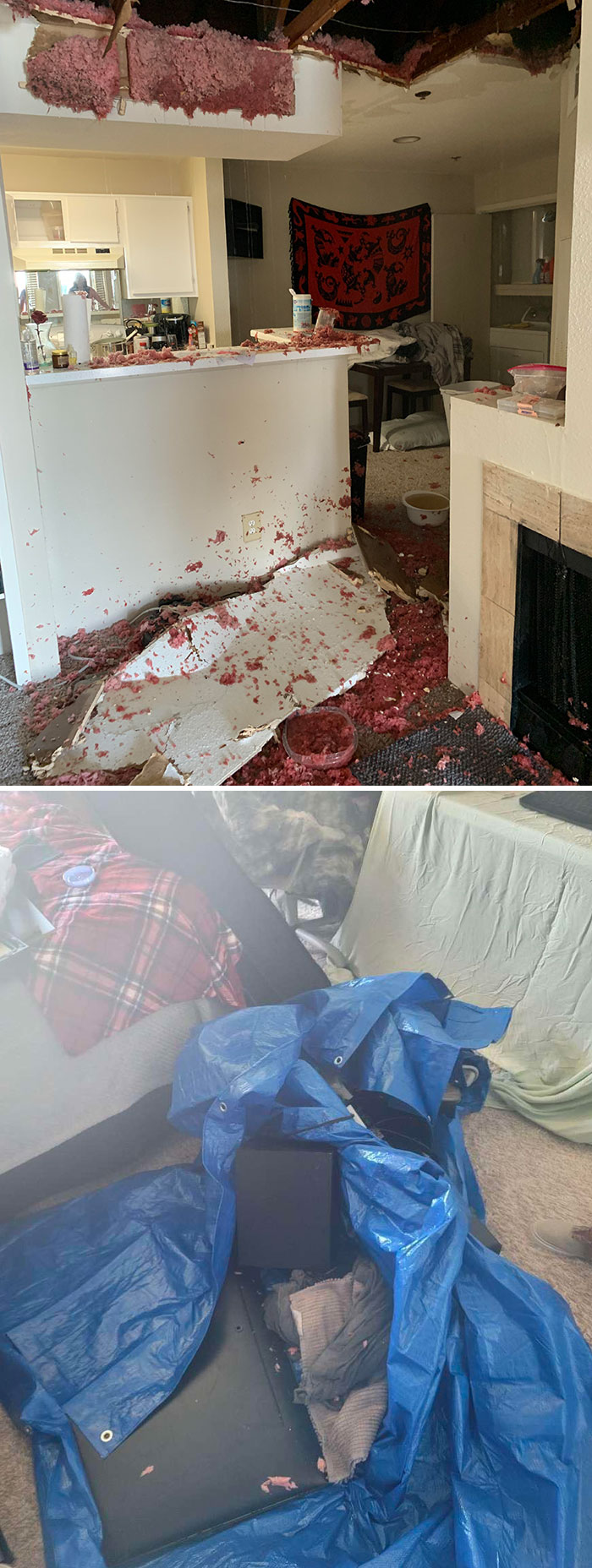 32 Times Landlords Left Their Tenants in Awful Conditions