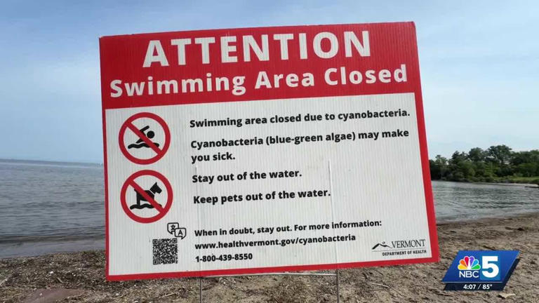 More Burlington beaches reopen as daily water testing continues