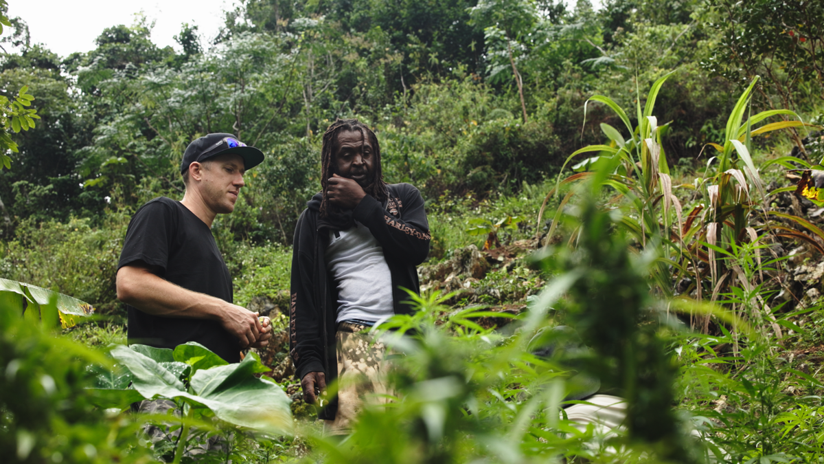 Bob Marley’s legacy burns bright with new cannabis collab