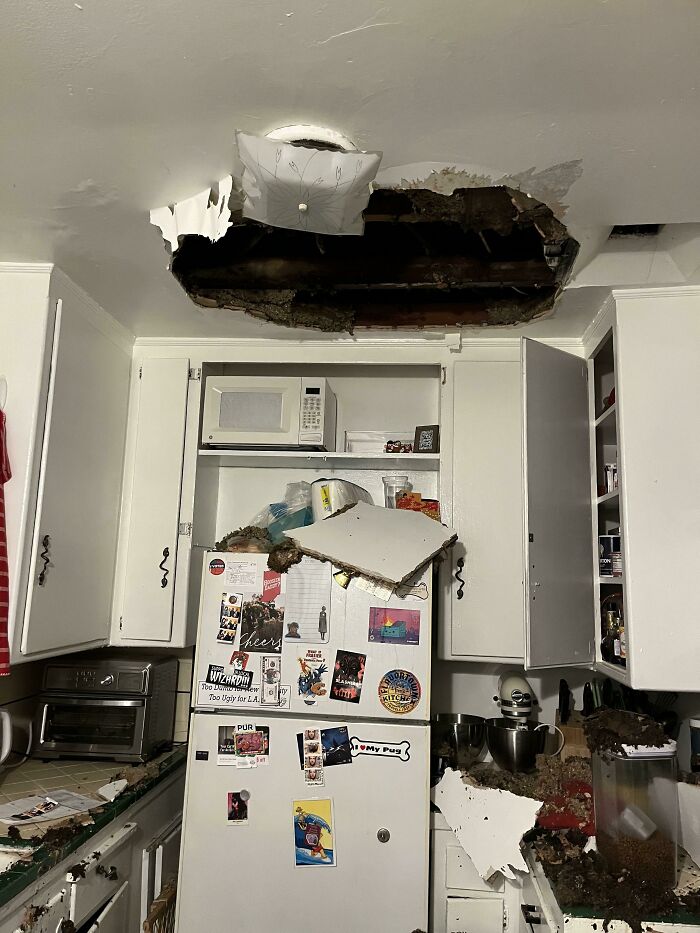 32 Times Landlords Left Their Tenants in Awful Conditions