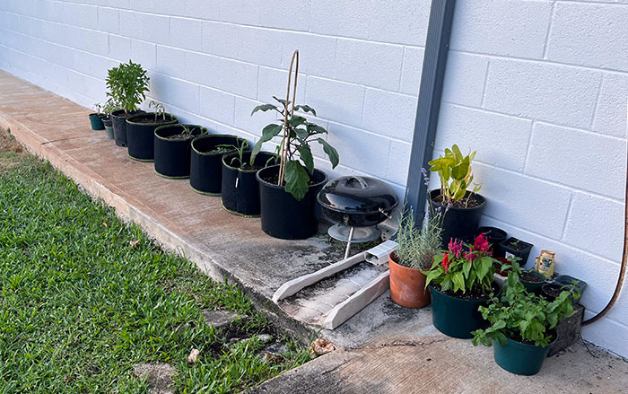 32 Times Landlords Left Their Tenants in Awful Conditions