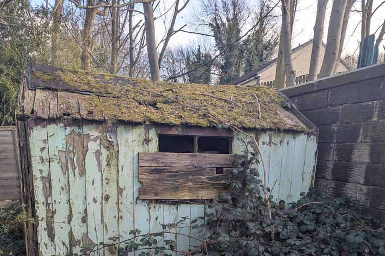 'Cesspit' horror as RSPCA finds dogs in 'worst room ever'