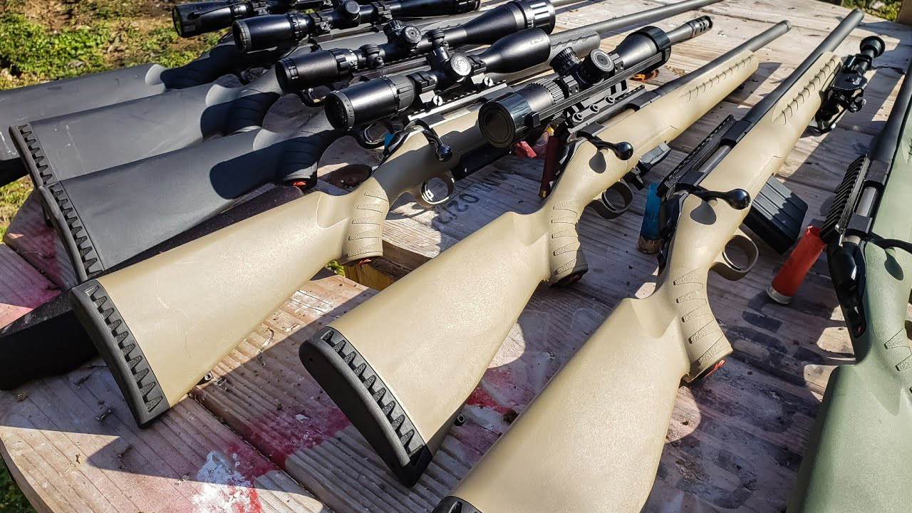20 rifles that delivered more than anyone expected
