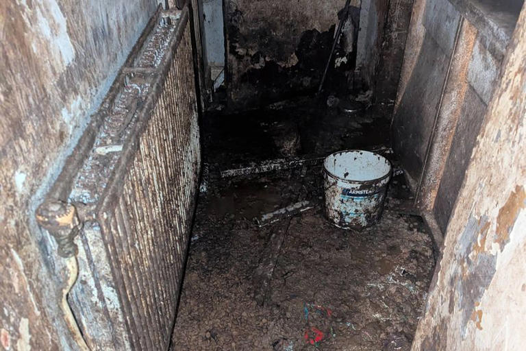 'Cesspit' horror as RSPCA finds dogs in 'worst room ever'