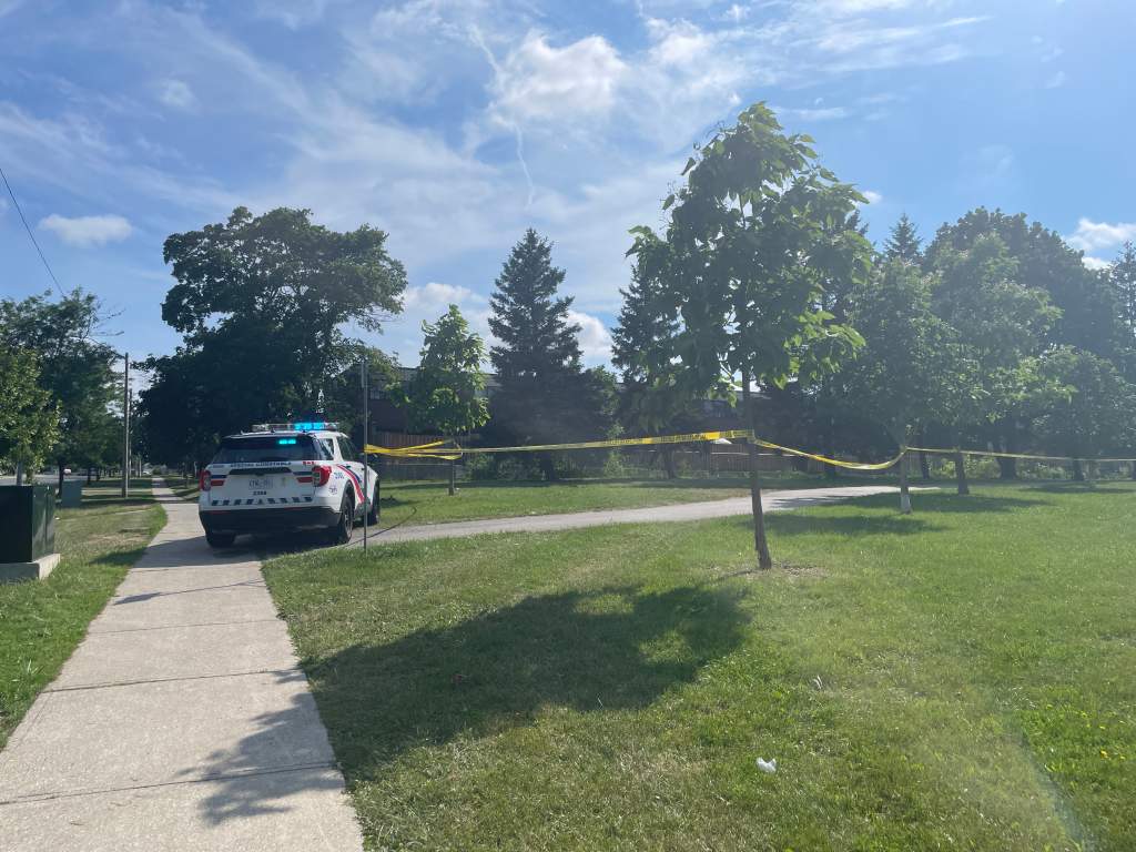 2 dogs shot in Toronto-area incident, police investigating