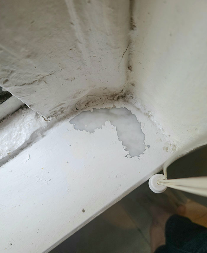 32 Times Landlords Left Their Tenants in Awful Conditions
