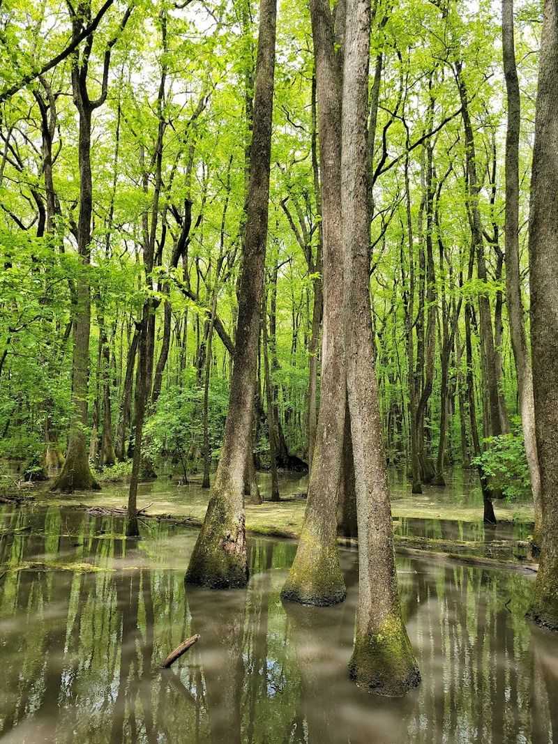 This 35,000 acre wildlife refuge in Alabama is home to over 300 species ...