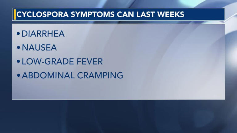 Explosive diarrhea? 200+ cases of stomach bug cyclospora in NC