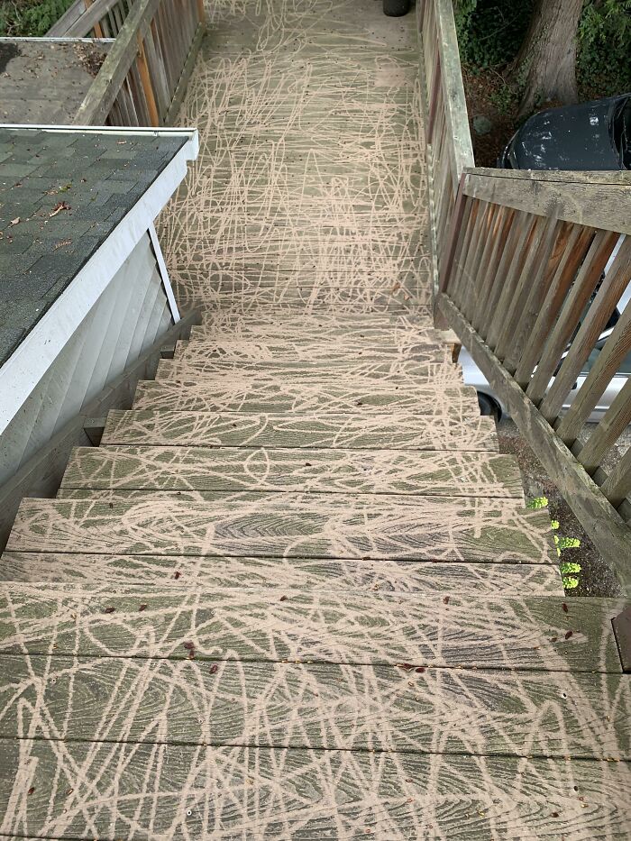 32 Times Landlords Left Their Tenants in Awful Conditions