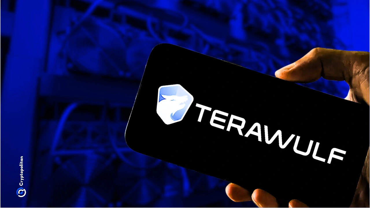 Why's Terawulf stock surging today?