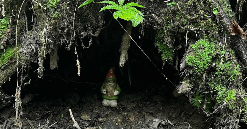 A tiny garden gnome tucked inside a mossy root cave along the trails at Devil's Punchbowl, Wisconsin.