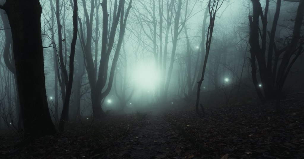 Eerie white light orbs glowing through a dark, foggy forest at Devil's Punchbowl in Wisconsin.