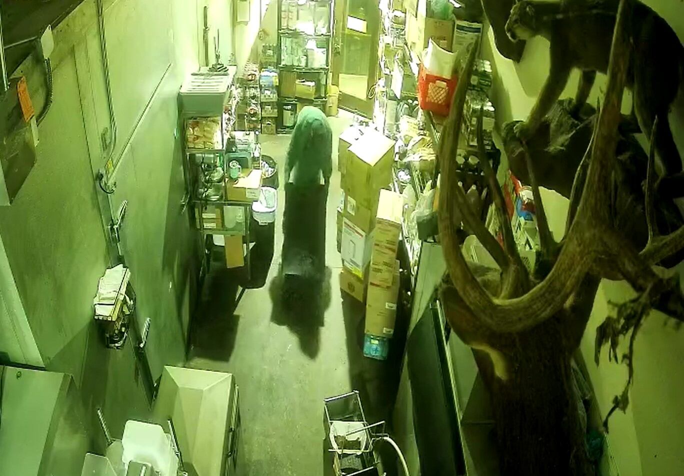 Burglar caught on camera stealing safe from Cascade Locks restaurant
