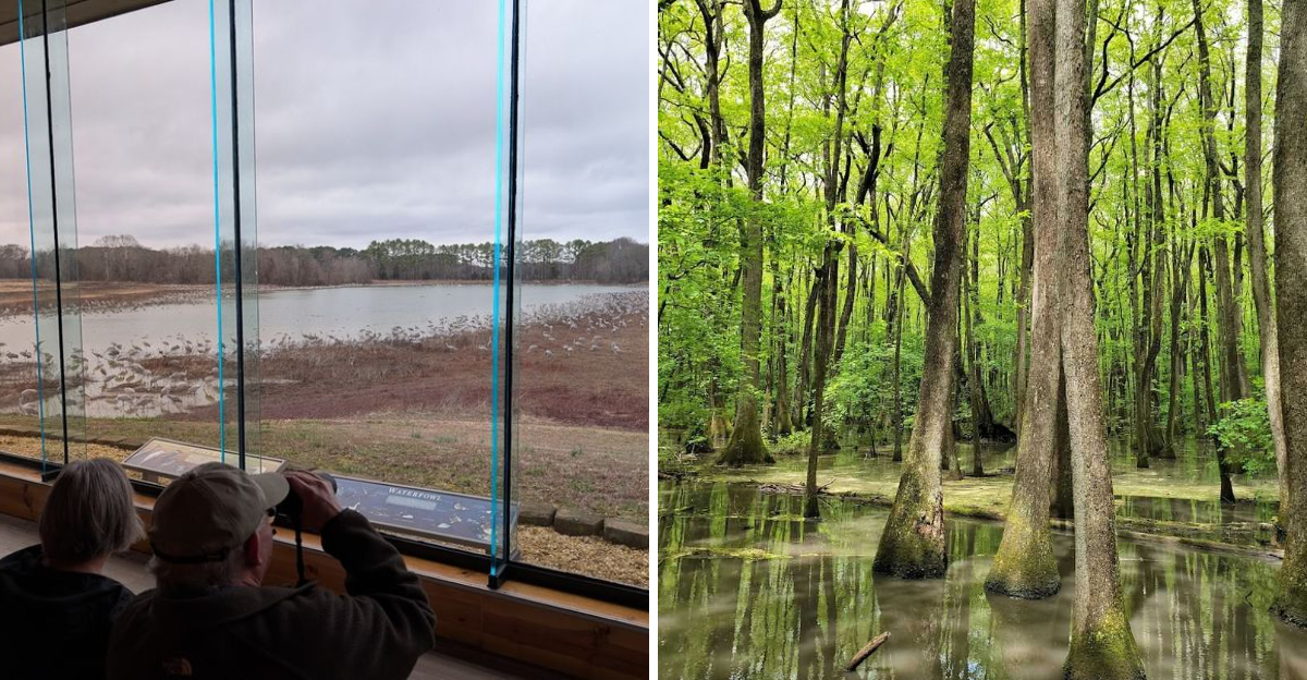 This 35,000 acre wildlife refuge in Alabama is home to over 300 species ...