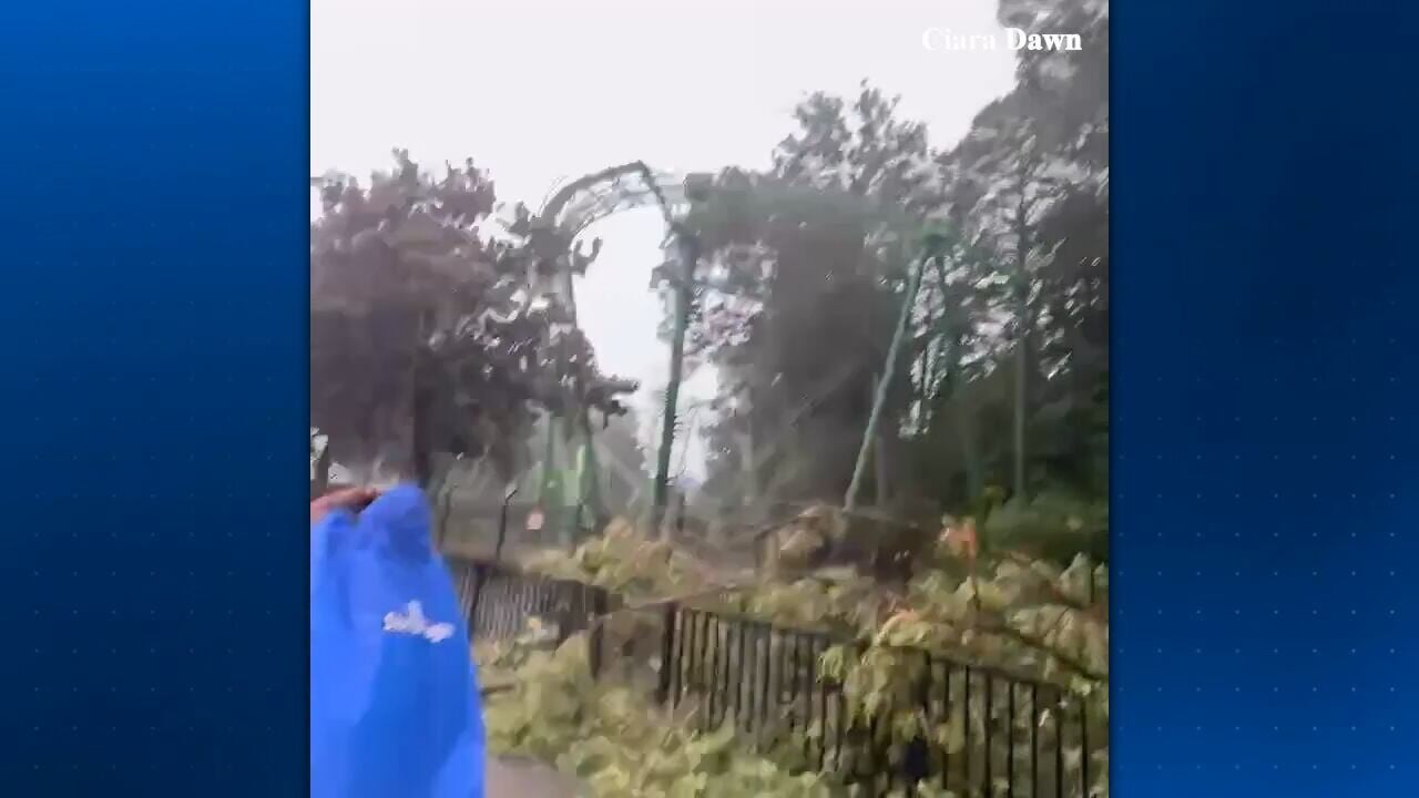 Falling tree at Six Flags injures 4 parkgoers; man rescues teen