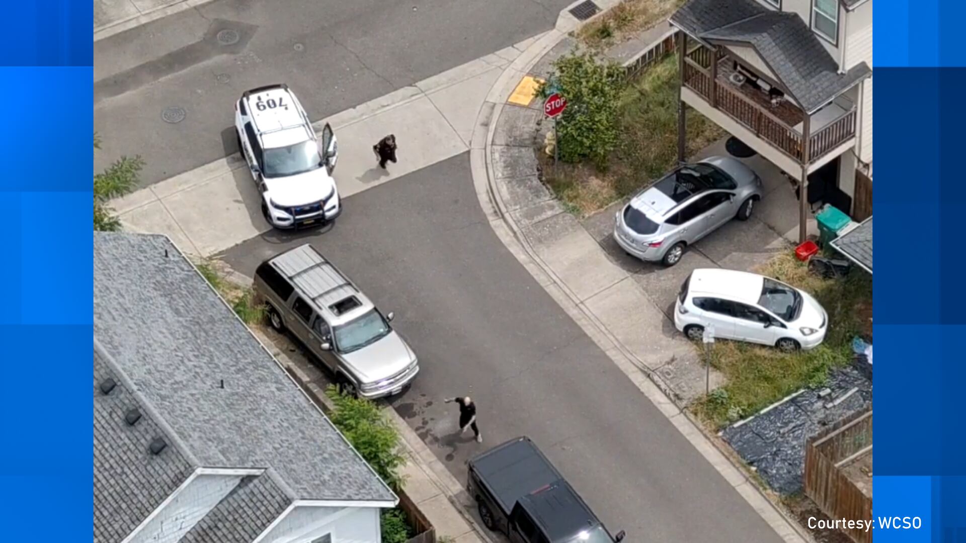 Suspect flees stolen car while eluding police in Aloha, caught by K9 ...