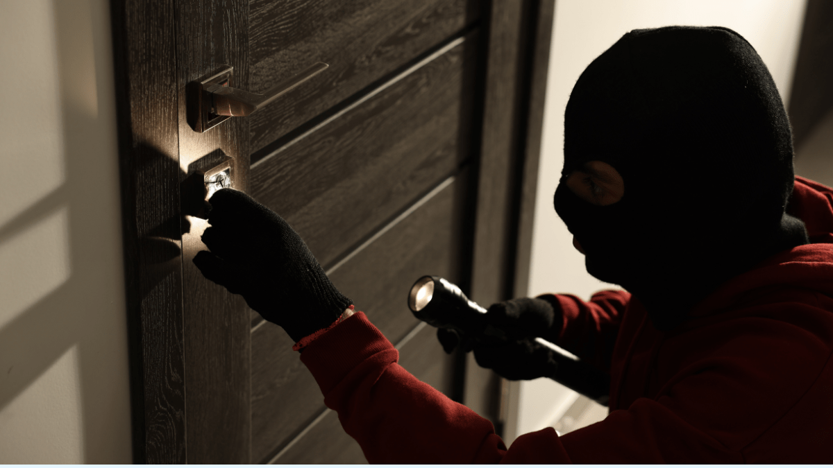 Burglary ring targeting Indian American households dismantled in ...