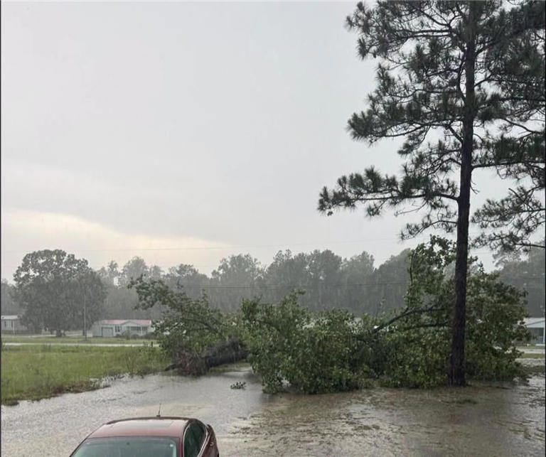 Storms bring flooding, lightning strikes and downed trees for second ...