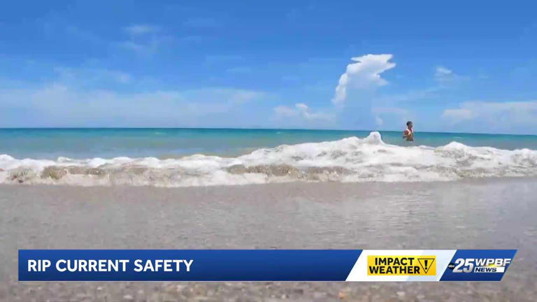 Meteorologist warns of rip current dangers and shares ocean safety tips