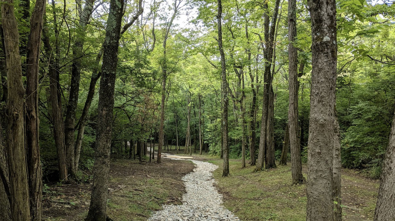 A gravel walking trail in the Monroe Community Park