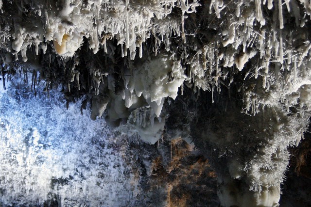 The helictites in the Soplao are truly unique