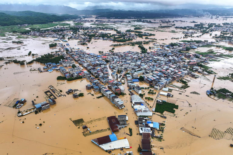 Hundreds of snakes escape after floodwaters inundate breeding farm