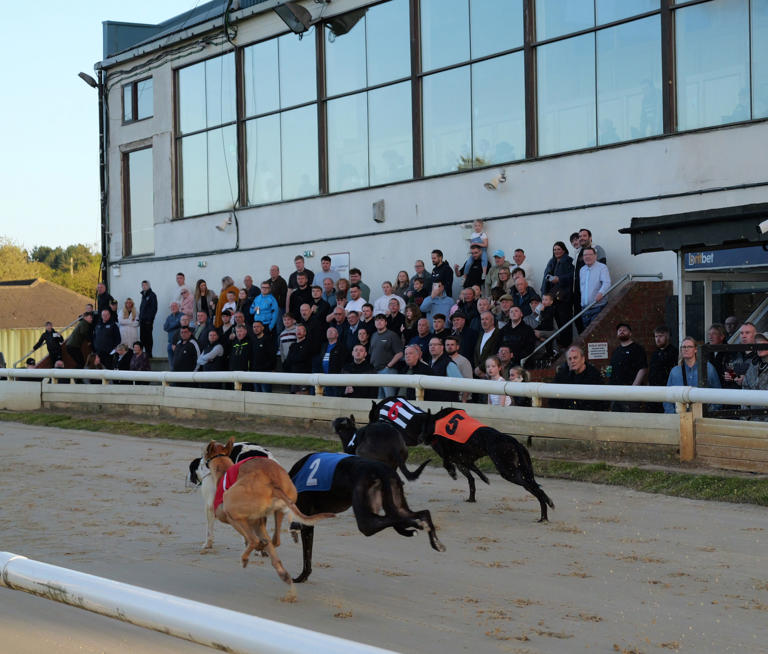 Greyhound racing to celebrate its centenary in Sunderland next month