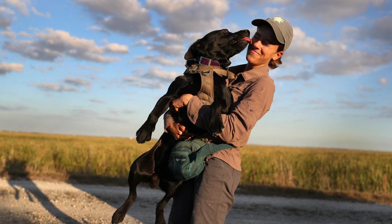 84% of dogs have anxiety; study says yards built for sniffing, not size ...
