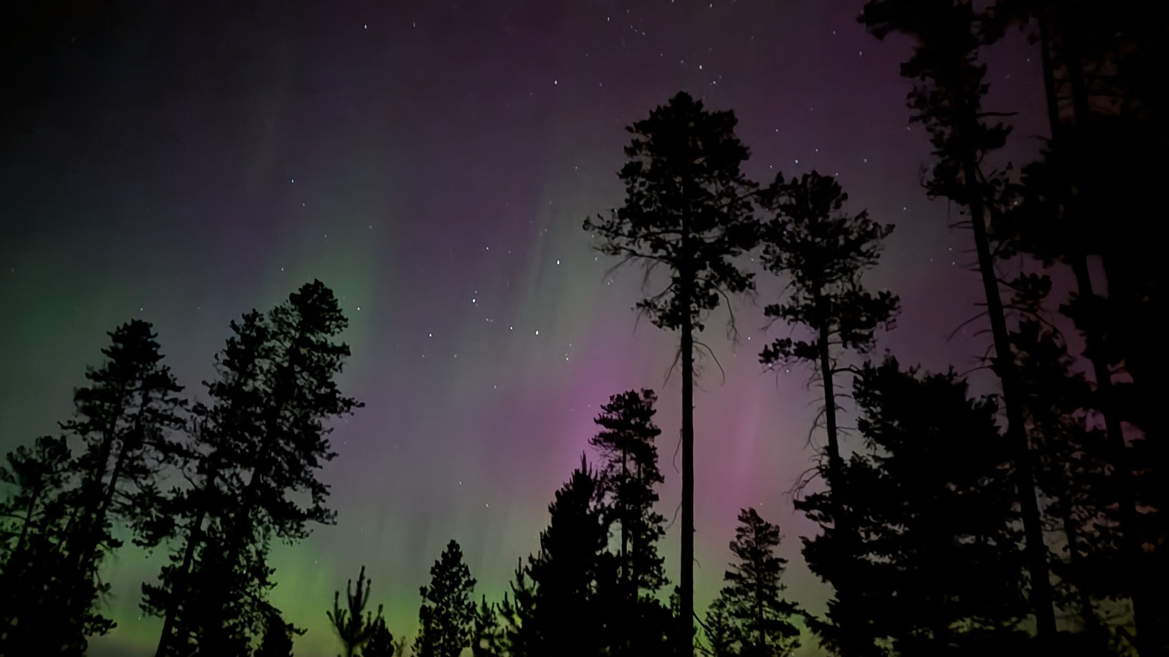 To see the northern lights, go north