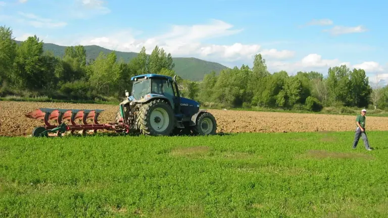 Hasta 607 millones de euros para 424.593 agricultores: el FEGA publica ...