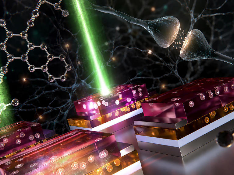 Brain-Inspired Light Sensor Could Speed AI Image Processing