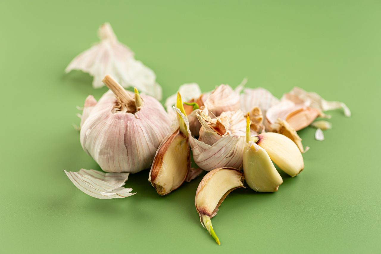 Garlic bulbs and cloves some with sprouts on a green surface