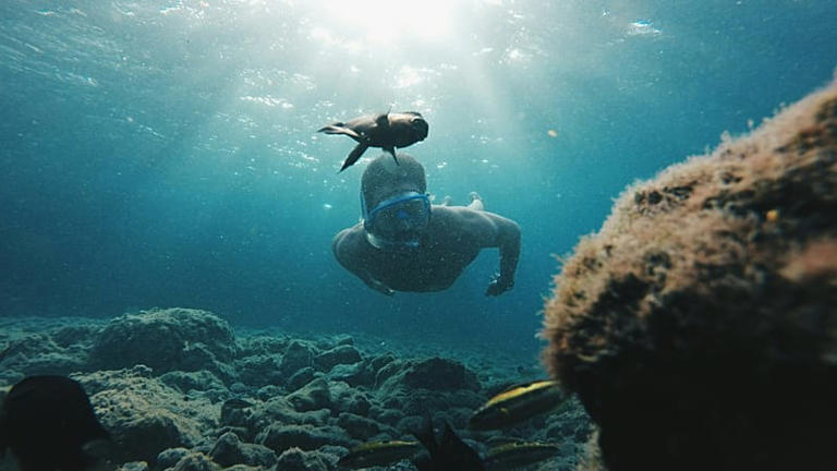 Canary Islands' new voluntary tourist tax will fund local ...