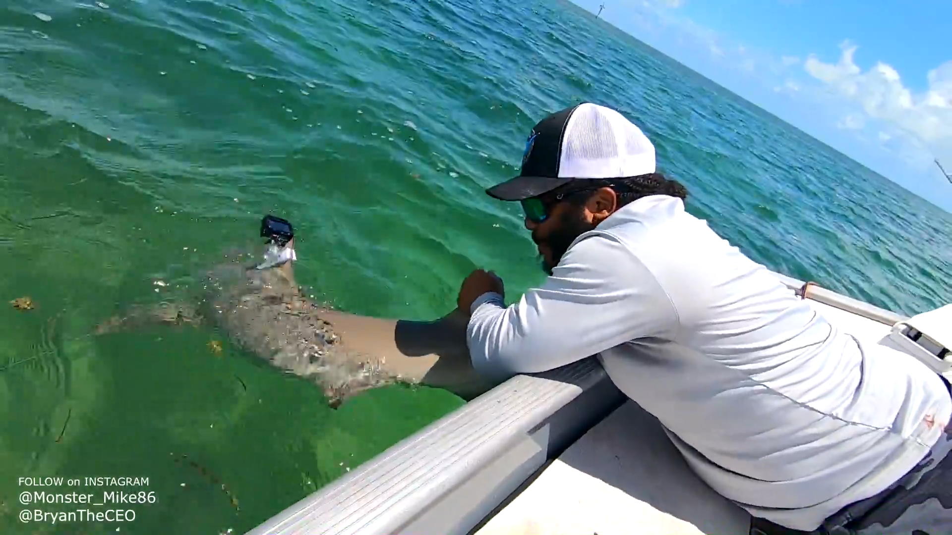 This is what happens when you put a camera on a shark