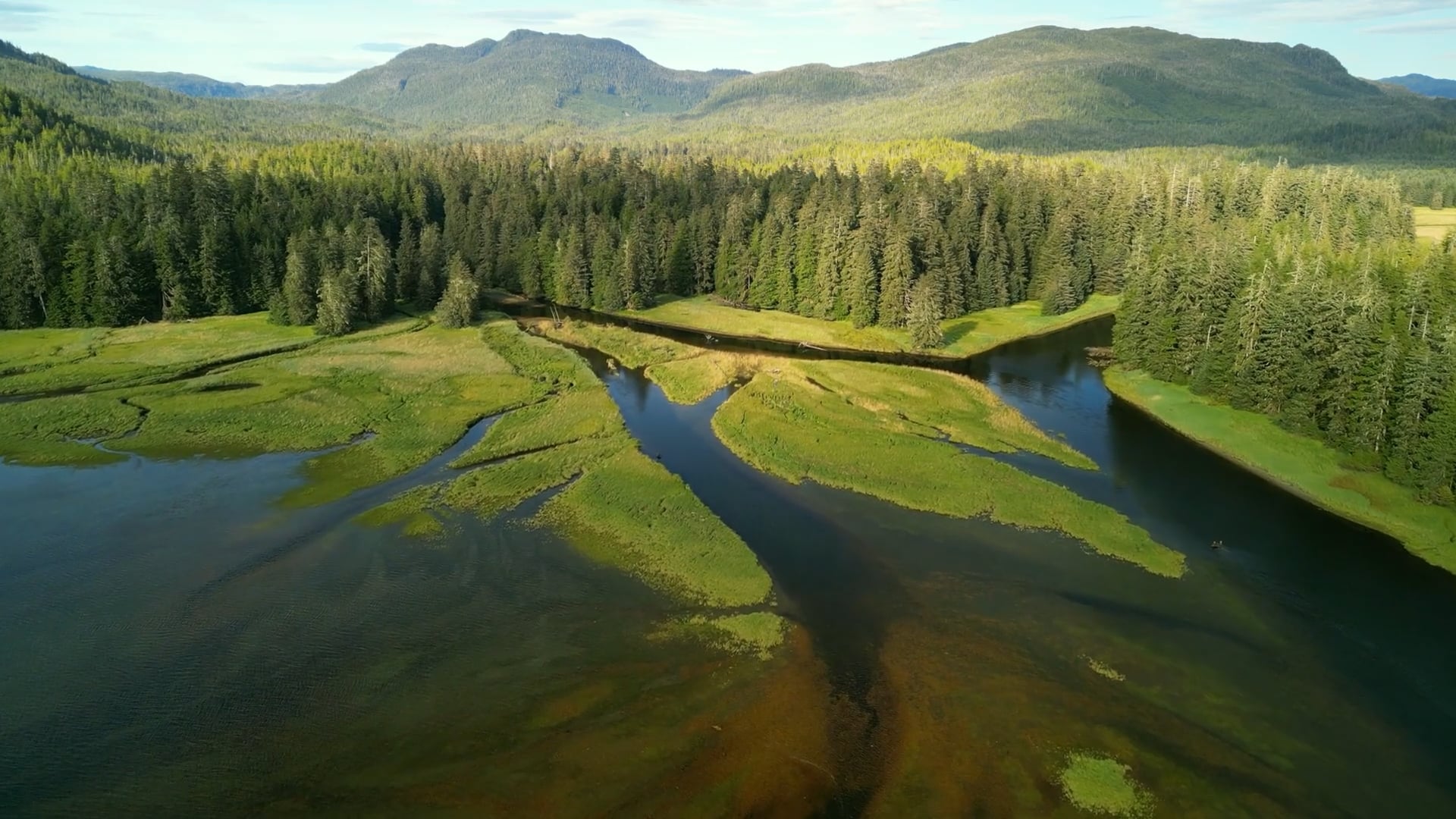 Tongass National Forest Alaska: Drone tour of America's largest ...