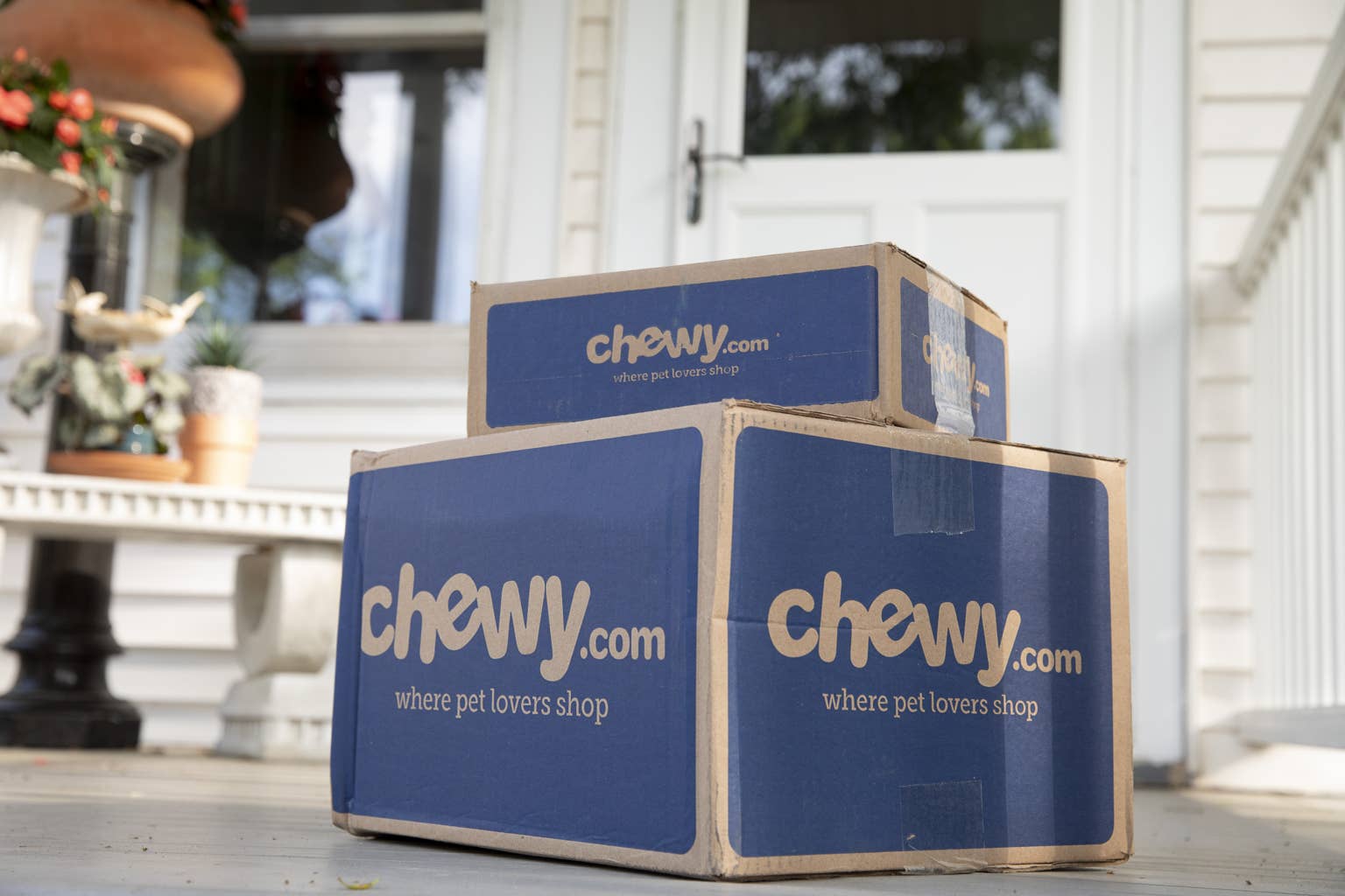 Chewy Has Real Wood Cat Wall Shelves on Sale — and They Look Amazing