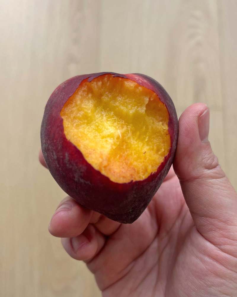 A person holding a partially eaten red peach, revealing its yellow flesh and texture.