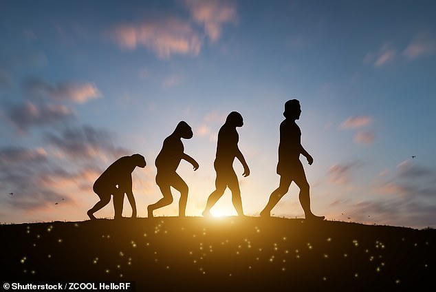 Story of human evolution rewritten as new evidence reveals a far more ...