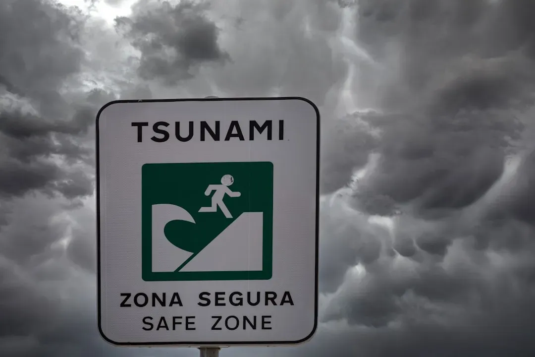 9-natural-disaster-films-that-should-be-considered-essential-viewing