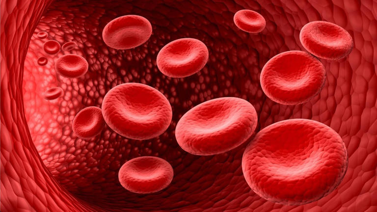 Scientists cracked a 50-year blood group mystery that could protect ...