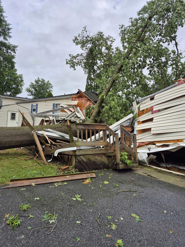 Tree crushes mobile home | Photos