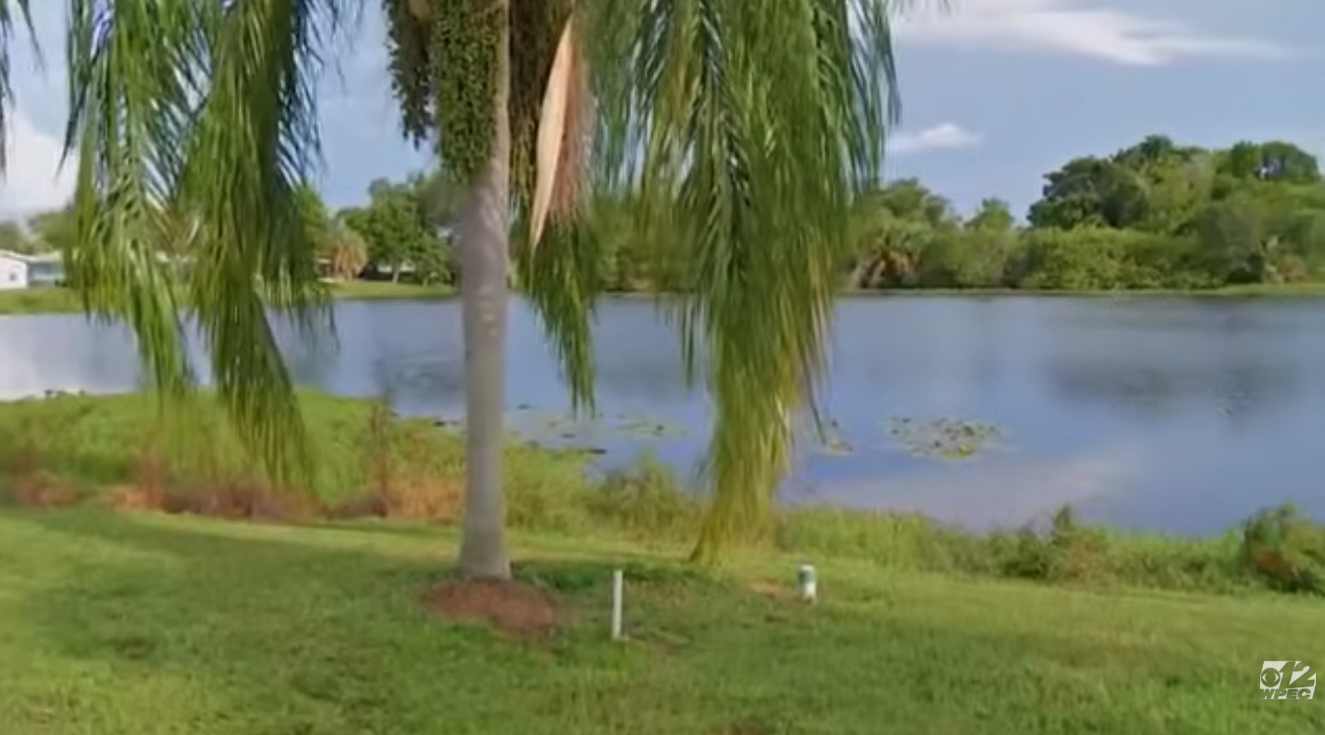 An elderly man in Florida survived after an alligator chomped down on his leg and pulled him into the water, as he reveals the gruesome way he narrowly avoided becoming the beast's dinner. James Grayson McMicken, 71, survived a near-deadly attack from an alligator on June 26 while fishing behind his home in North Fort Myers.