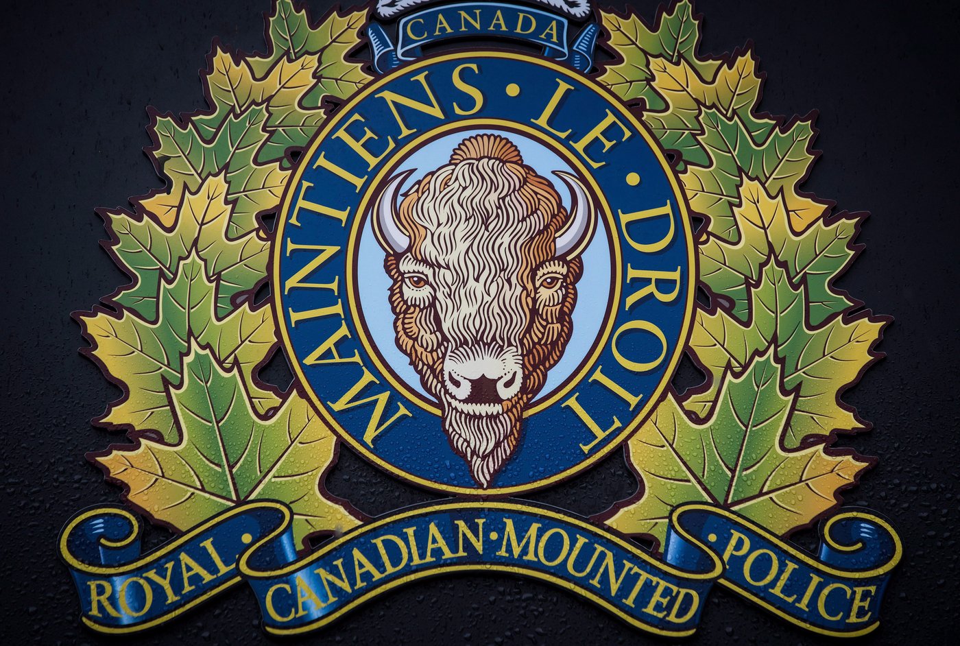 Police watchdog investigating after Saskatchewan man dies in back of ...
